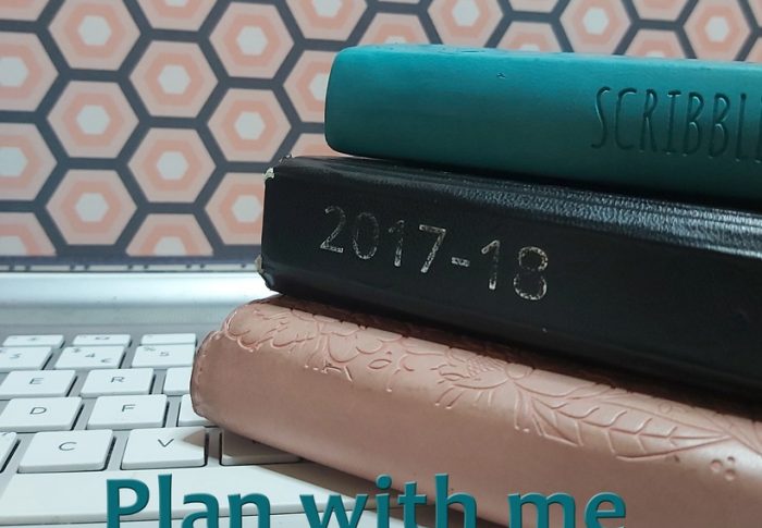 Plan With Me – June 2020 month to view